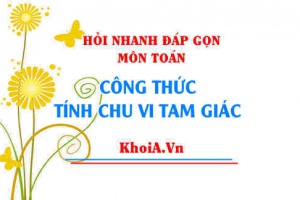 Công thức tính chu vi tam giác? Hỏi nhanh đáp gọn môn Toán